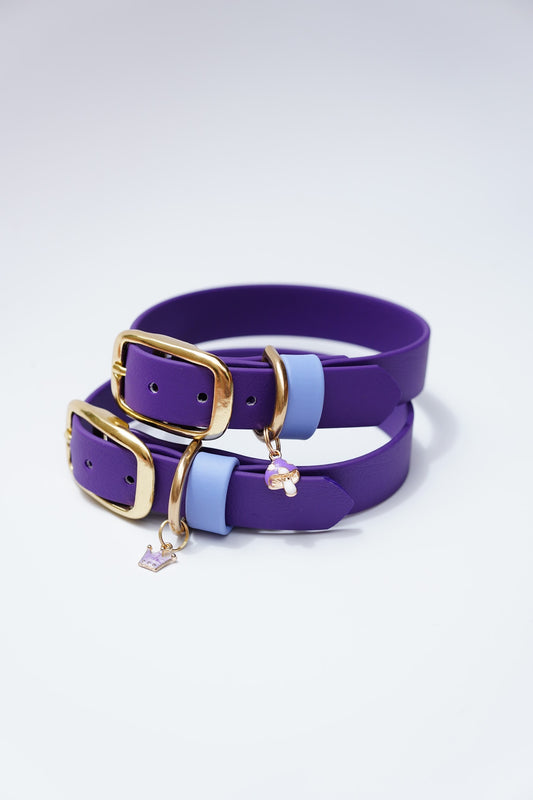 Purple collar — 26-32cm