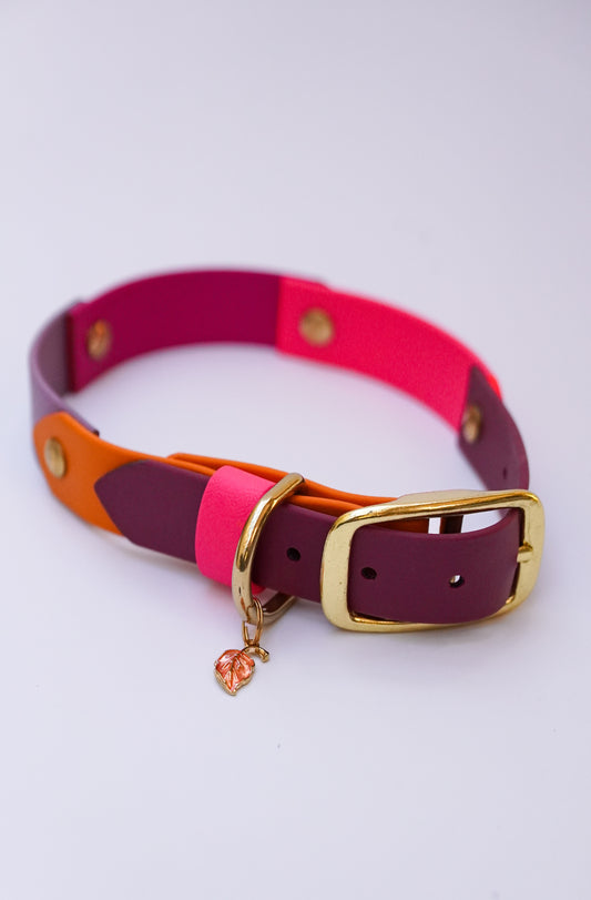 Prague collar 25mm width- 39-44cm
