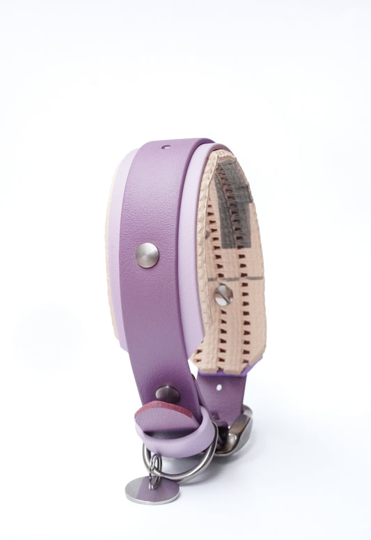 Paris collar with Padding & name plate// 30-36cm