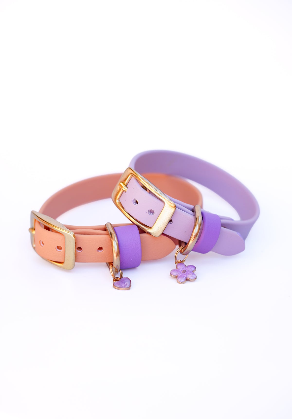 Puppy collar/24-28cm / Sable
