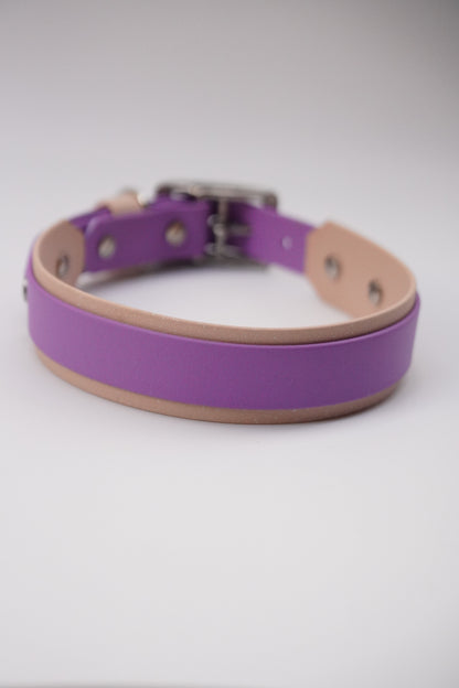 Paris collar size L (45-55cm)