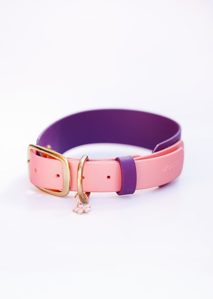 SEVILLE collar 38-48cm