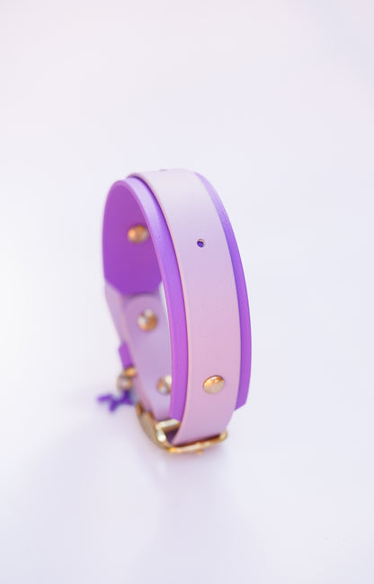 Paris collar with name plate// 34-40cm