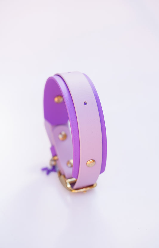 Paris collar with name plate// 34-40cm