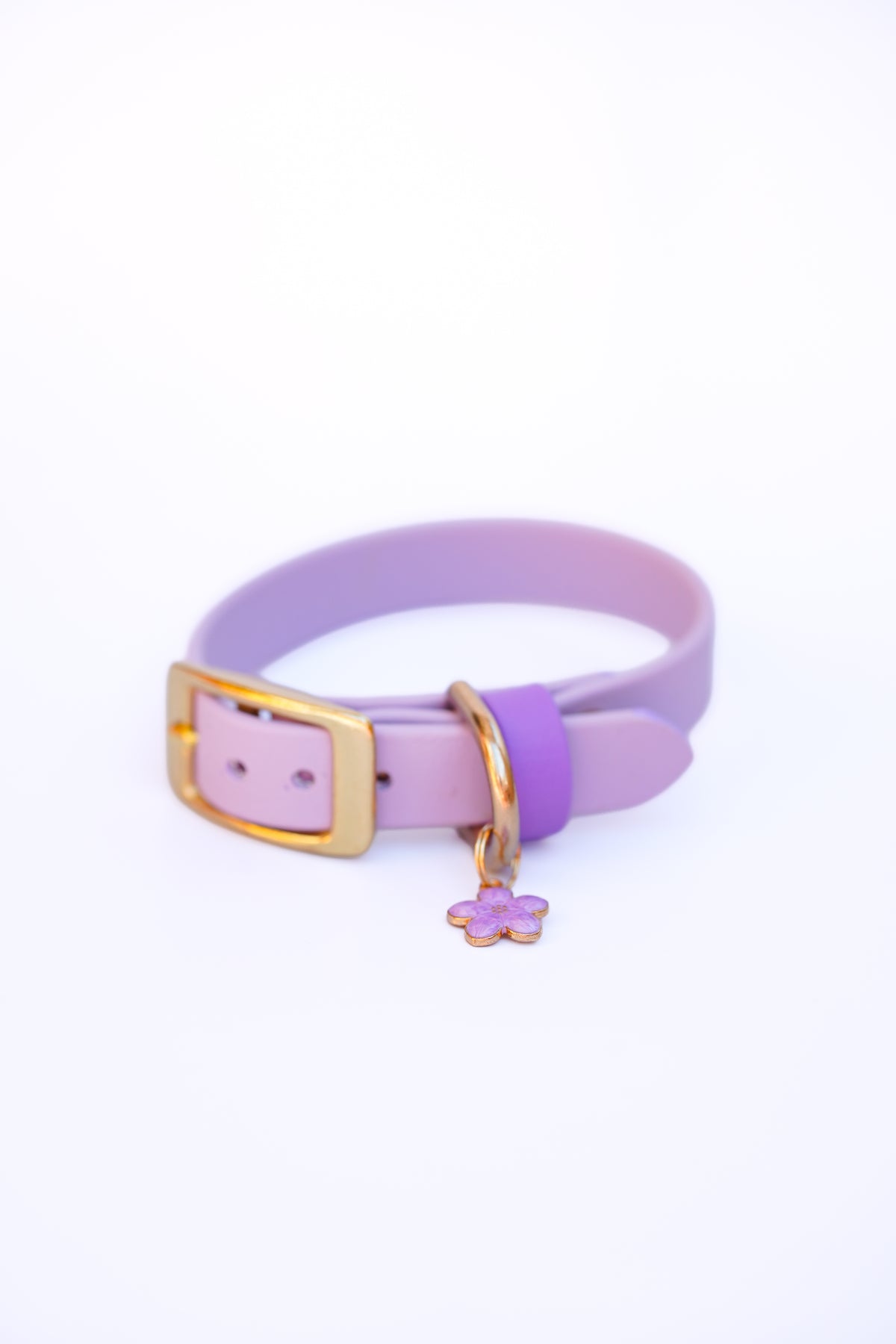 Puppy collar/ 20-25cm/ Lavender