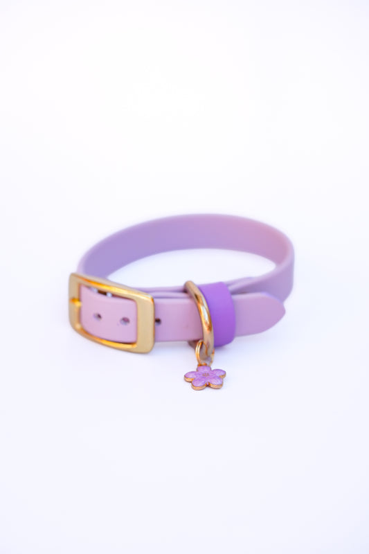 Puppy collar/ 20-25cm/ Lavender