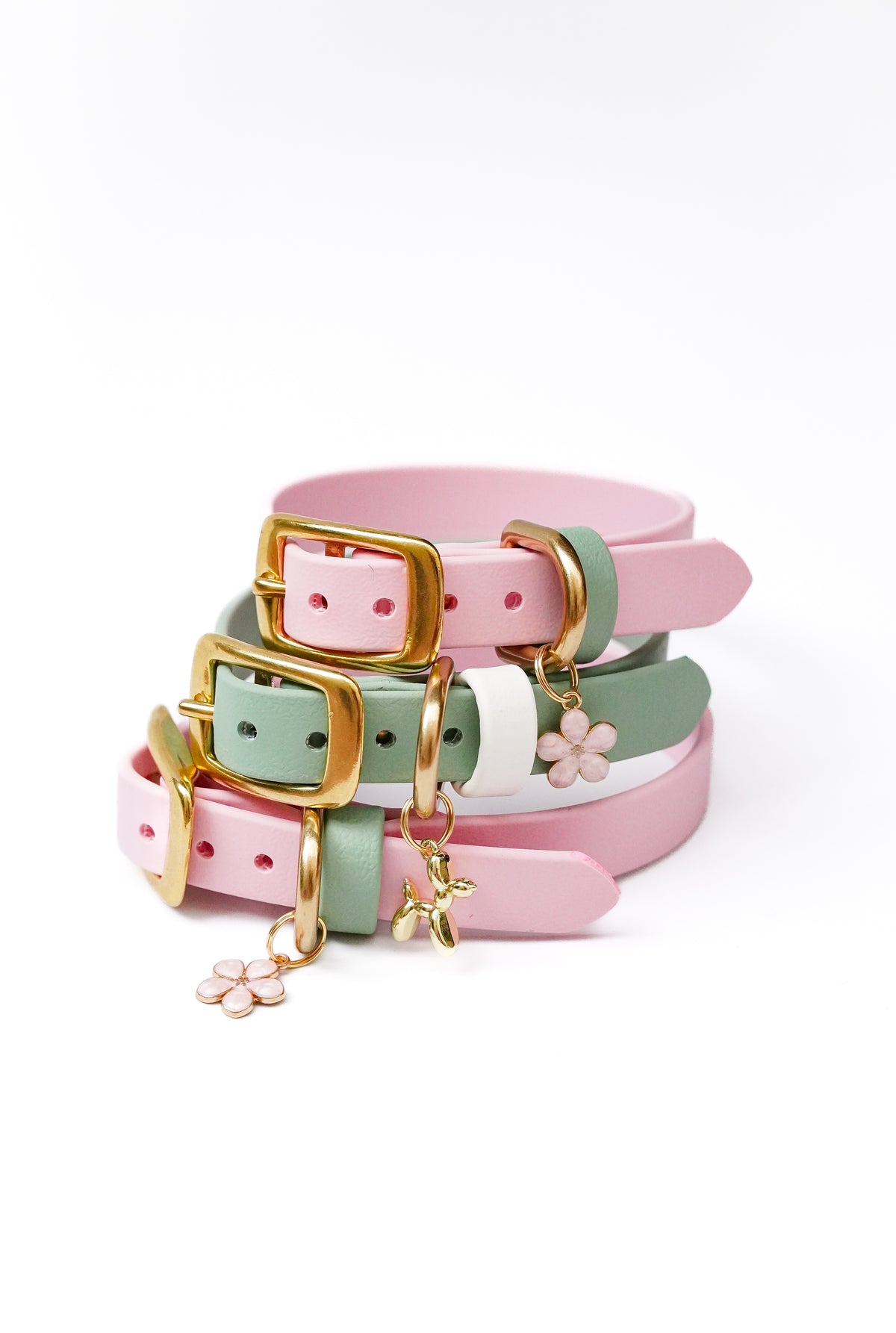 Custom Flat Biothane® collar