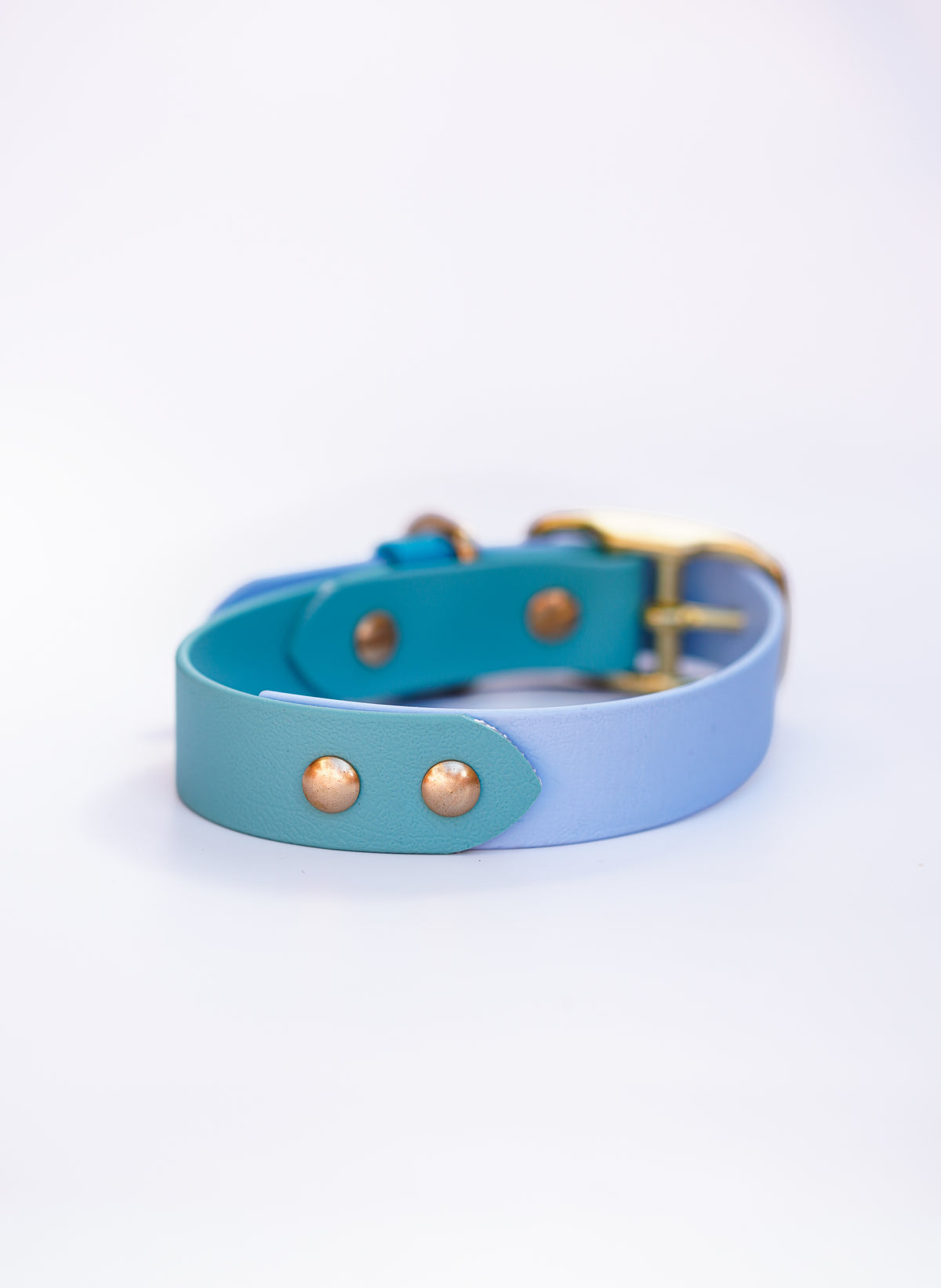 Flat biothane collar/  30-37cm
