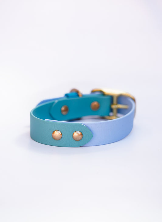Flat biothane collar/  30-37cm