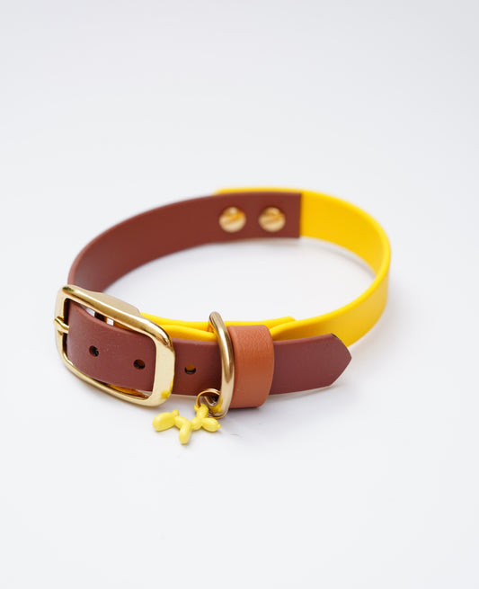 Biothane collar/  28-34cm