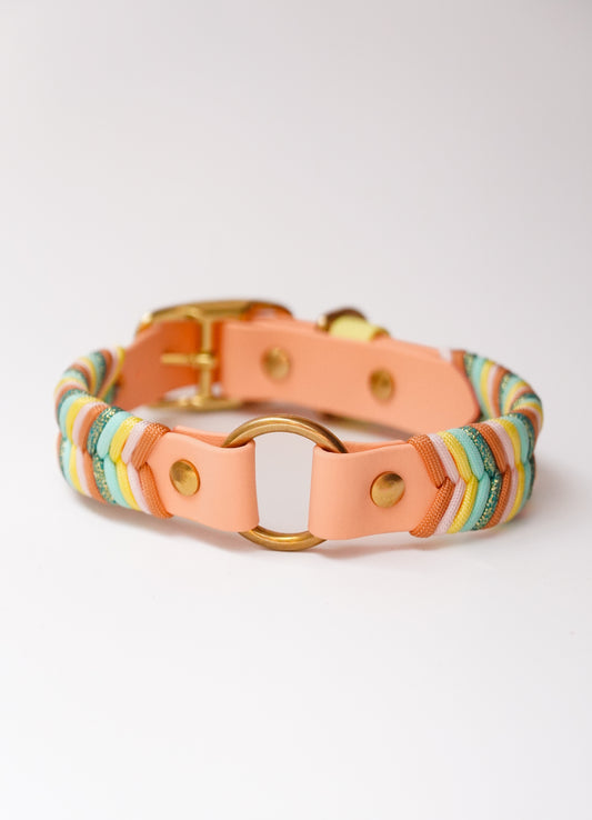 Sydney collar 25mm width (37-47cm)
