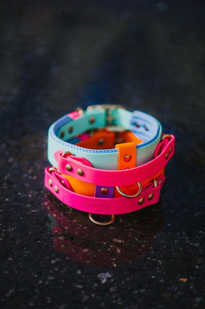 (NEW) Retractable Handle Collar