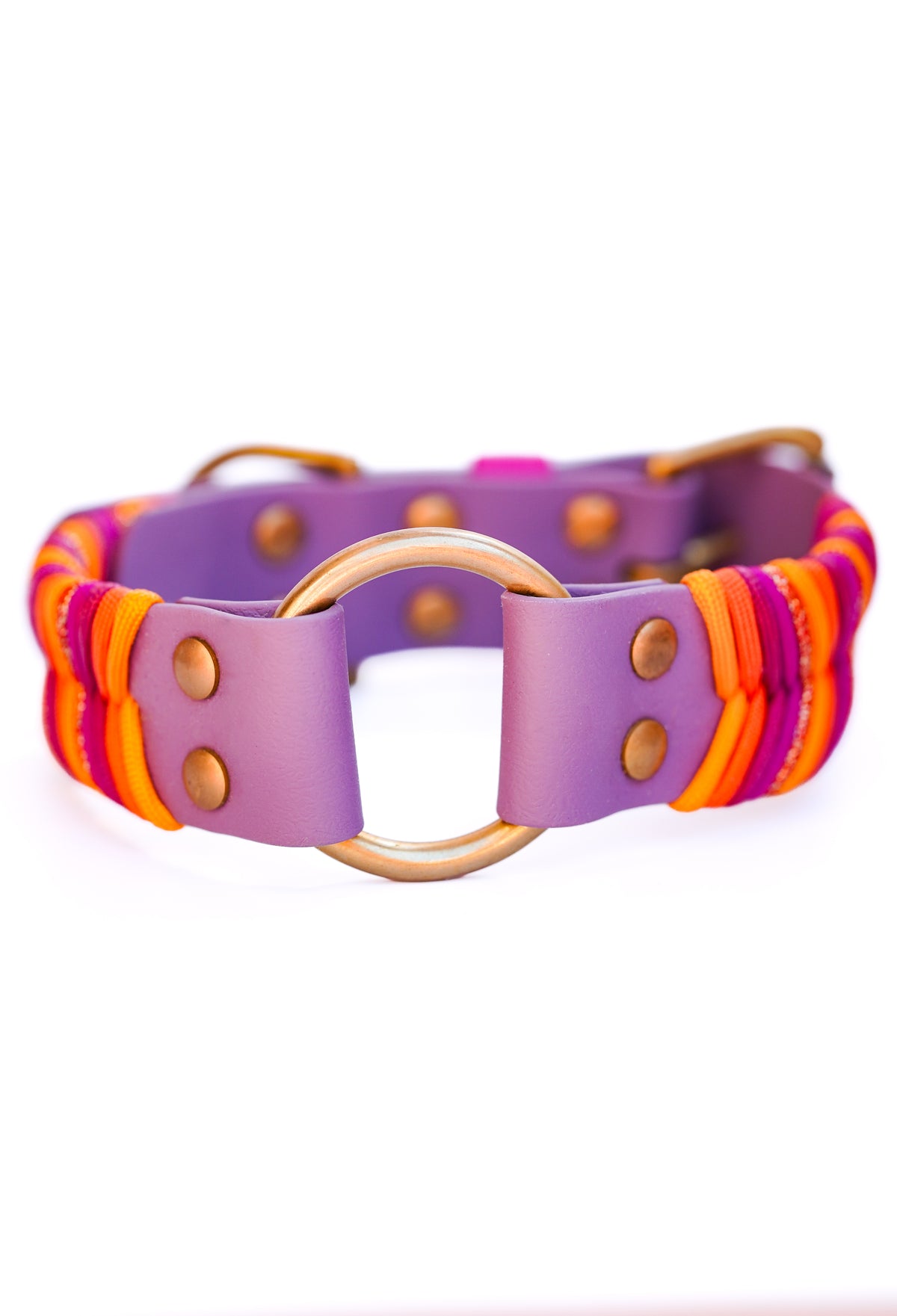38mm width Sydney collar (40-50cm)