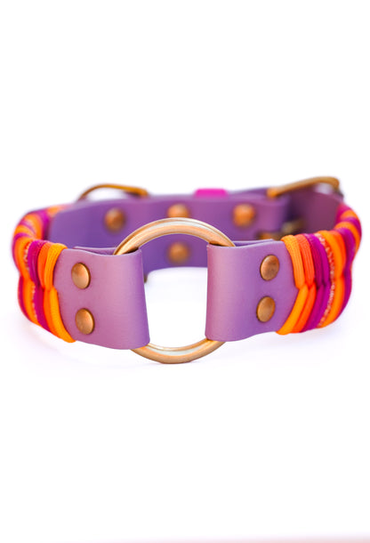 38mm width Sydney collar (40-50cm)