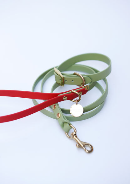 Collar & Leash set (25-30cm)