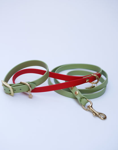 Collar & Leash set (25-30cm)