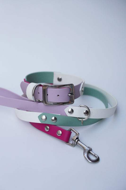 Collar & Leash set (35-45cm)