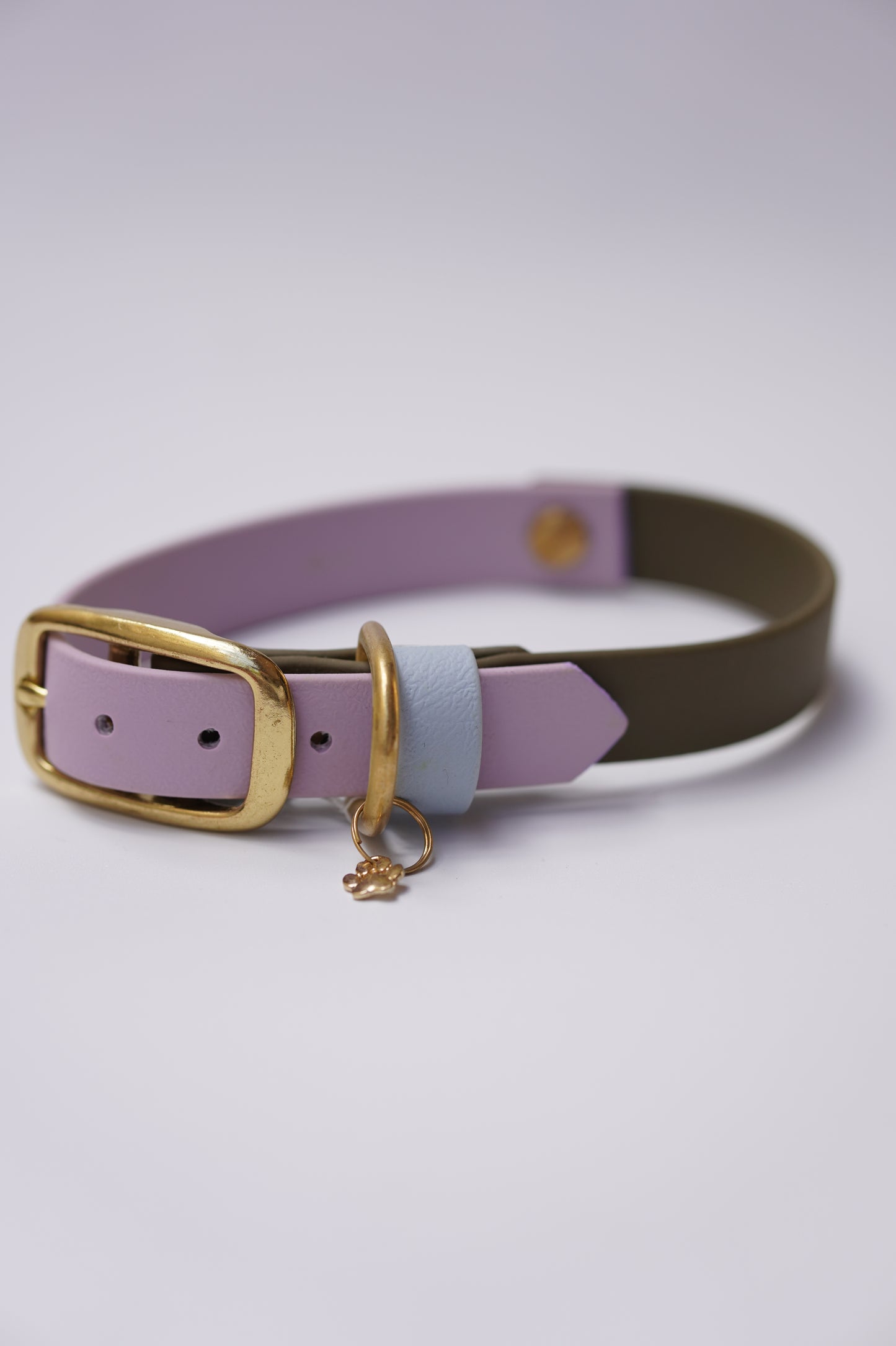 Prague collar 20mm width (S/M)