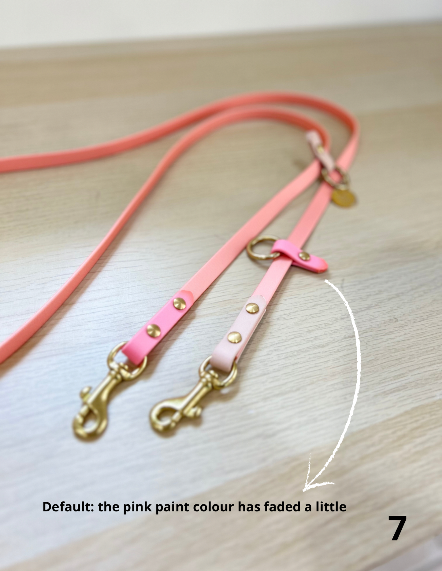 1m60 Hands-Free leash