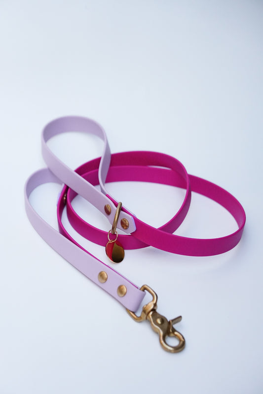 Biothane Leash 120cm