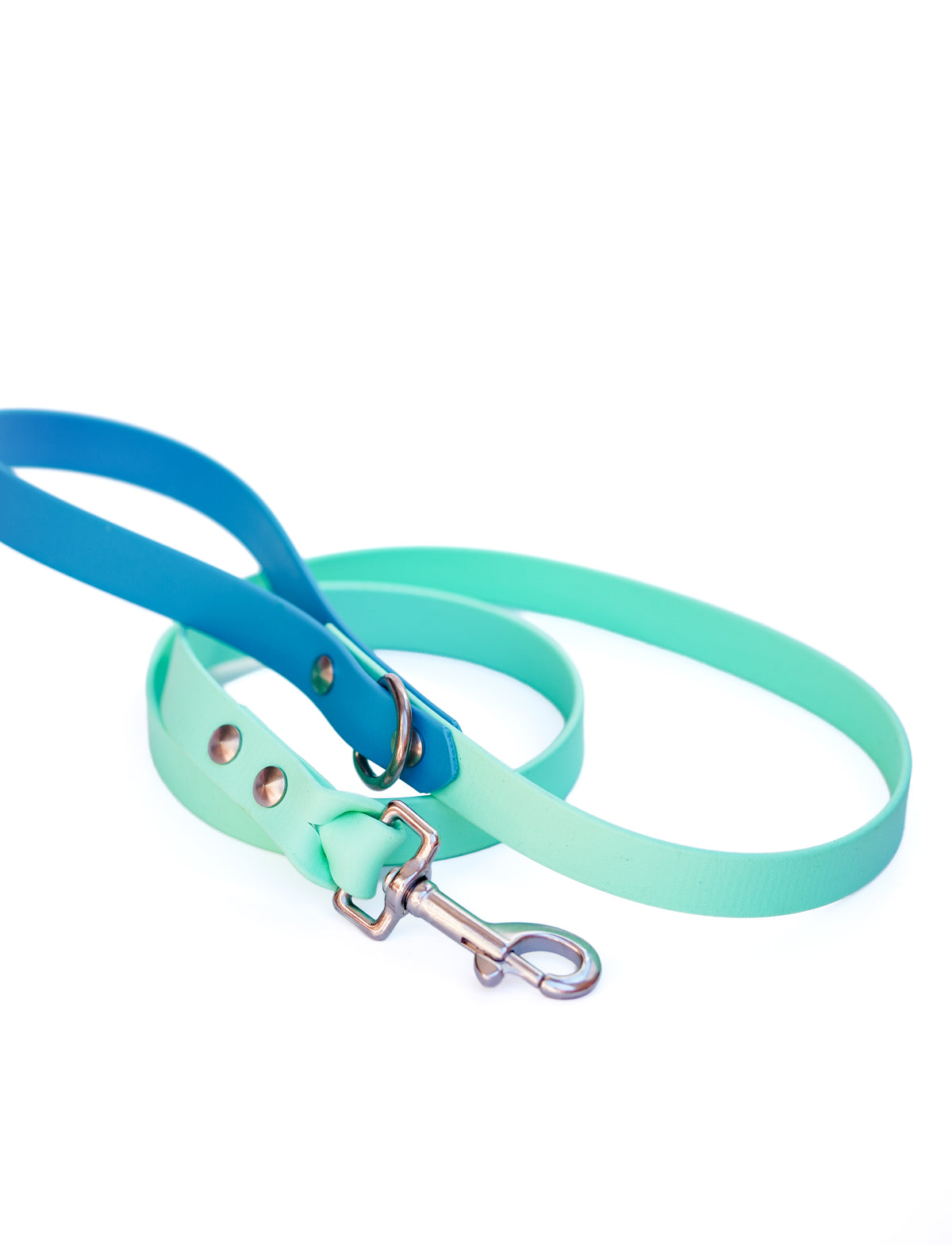 Biothane Leash 120cm - Lagune & Sea Foam