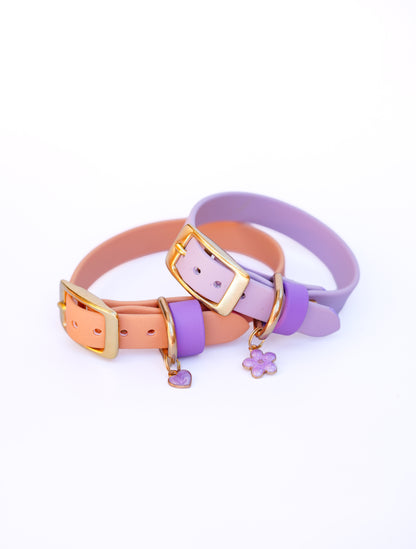 Puppy collar/ 20-25cm/ Lavender