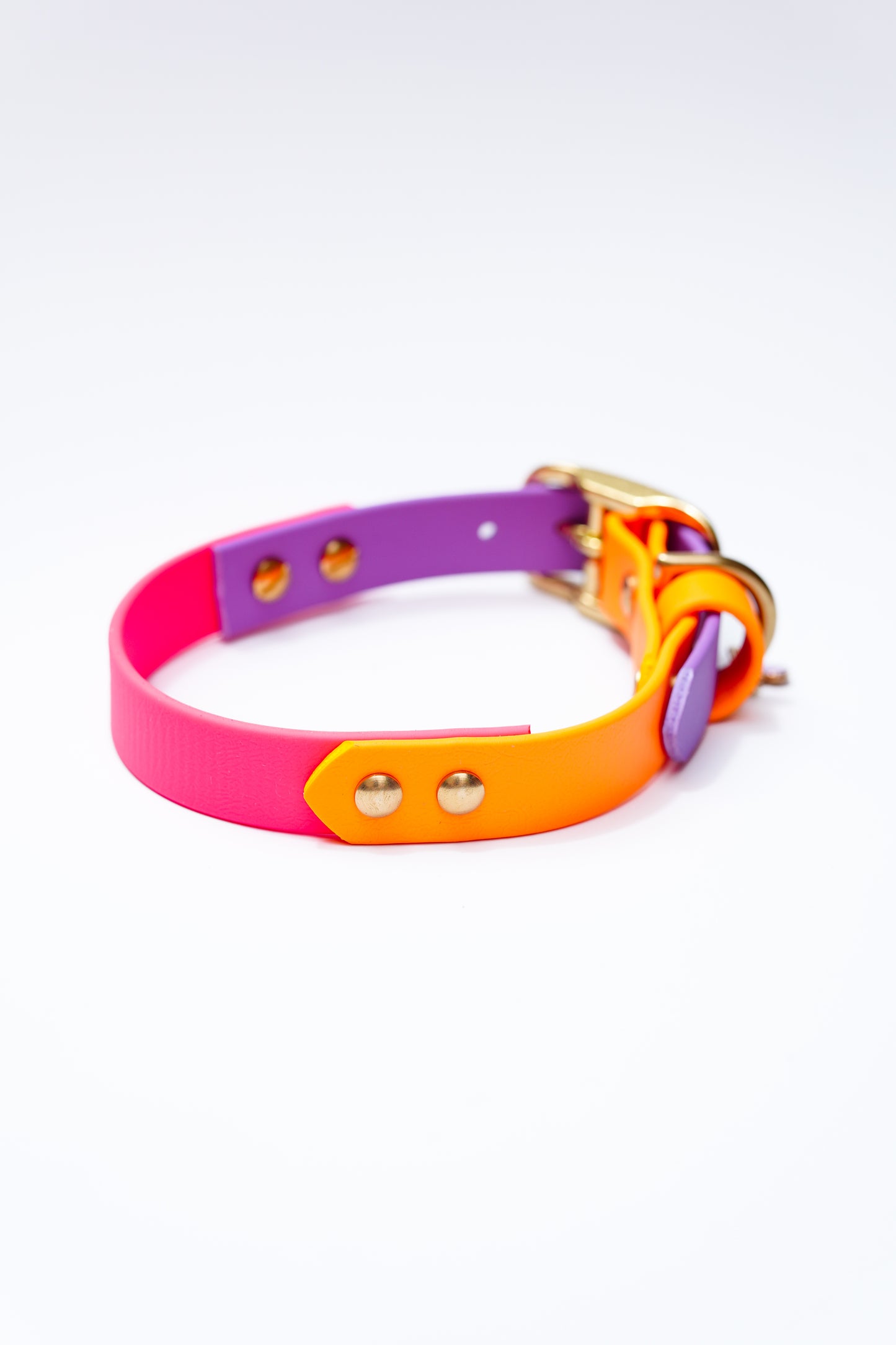Bright Biothane collar/  30-36cm