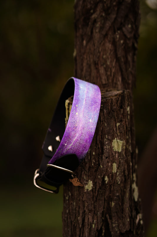 GALAXY Collar 50mm Width (L/XL)