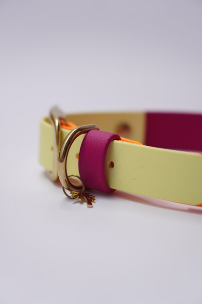 Prague collar 25mm width (M)