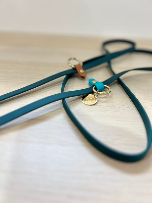 16mm Hands-free biothane leash