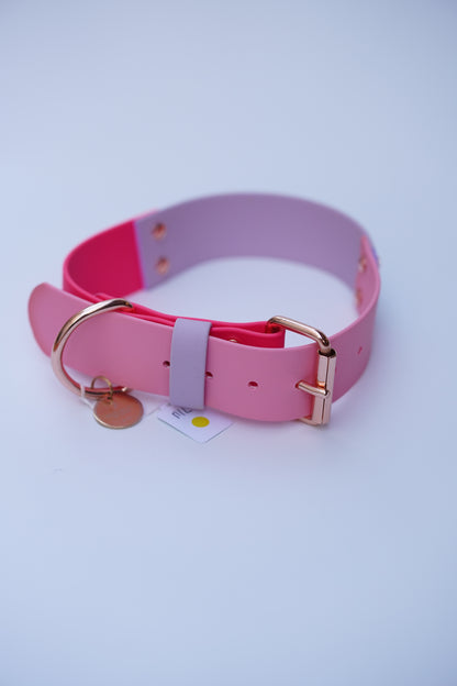 Prague collar 38mmwidth (M/L)