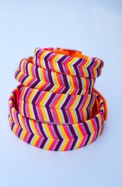 Sydney collars- Summer Combo