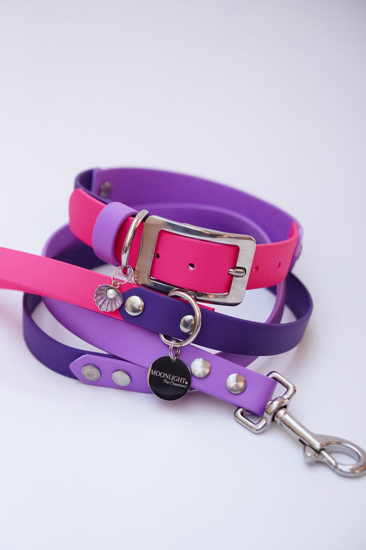 Collar & Leash set (35-45cm)