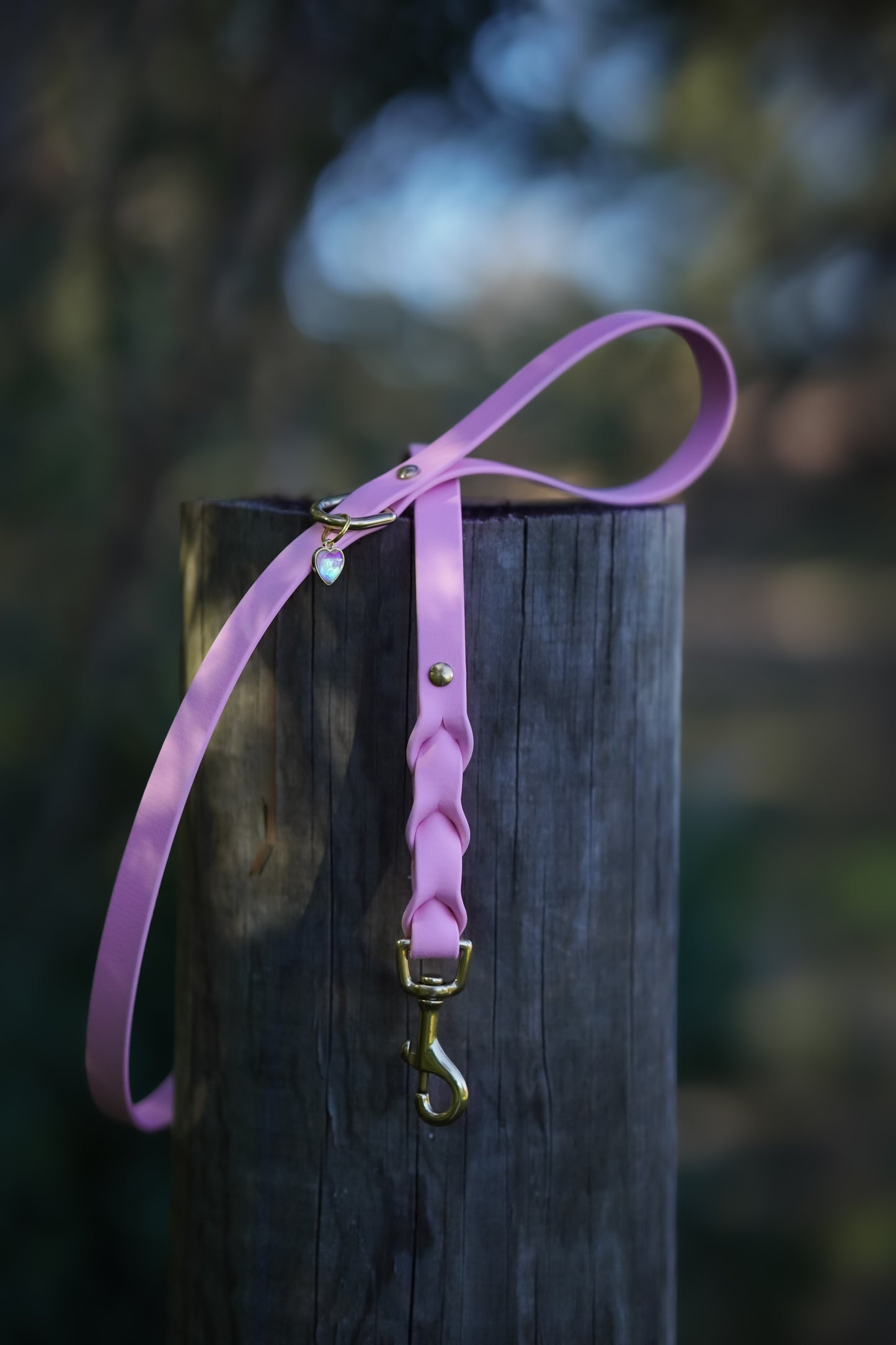 Leash add-On: Paracord braiding