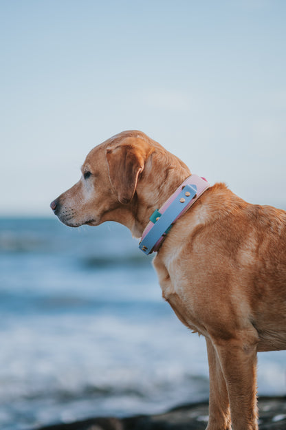 (NEW) Retractable Handle Collar