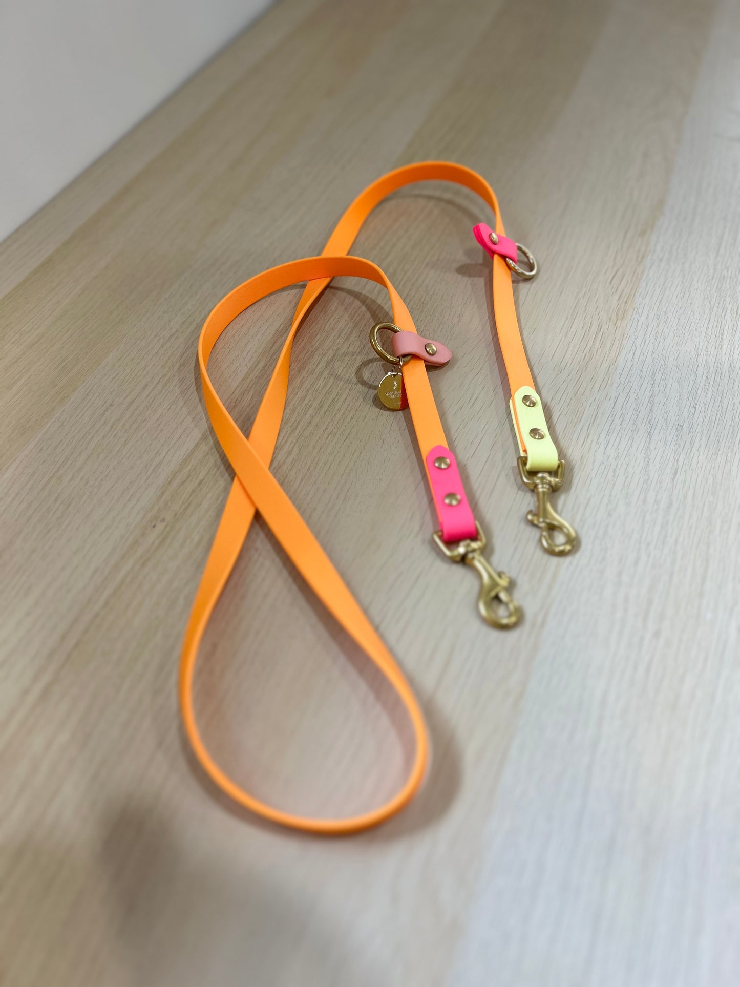 Hands-free biothane leash