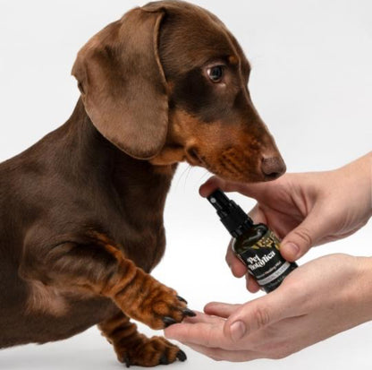 Colloidal Silver Healing mist for pets 50ml