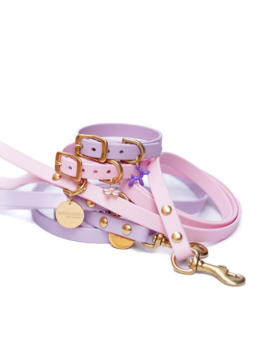 Puppy pack set