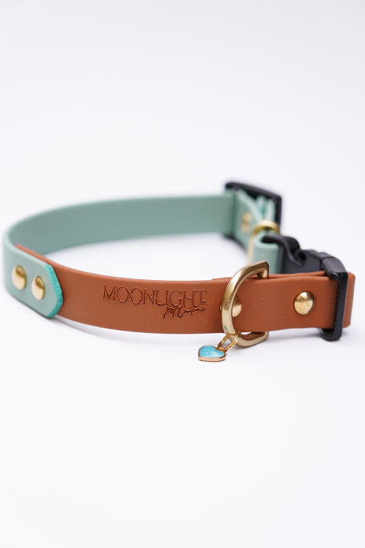 QR collar// 29-34cm
