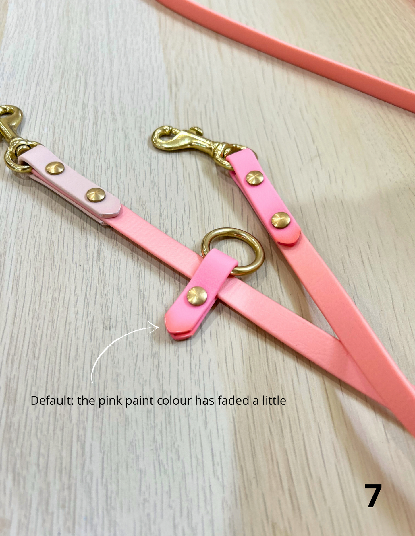 1m60 Hands-Free leash