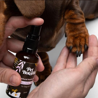 Colloidal Silver Healing mist for pets 50ml