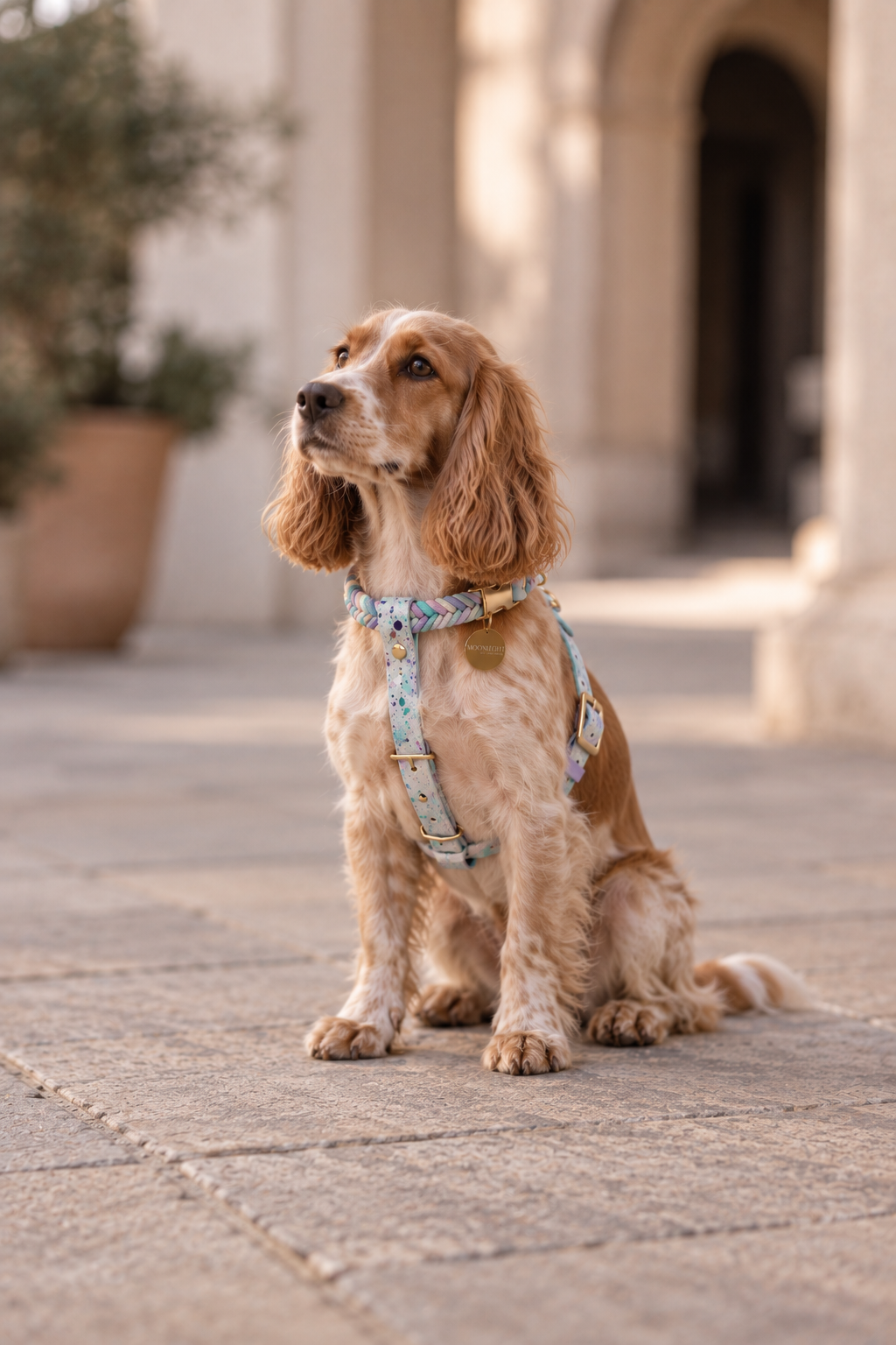 Paracord Harness