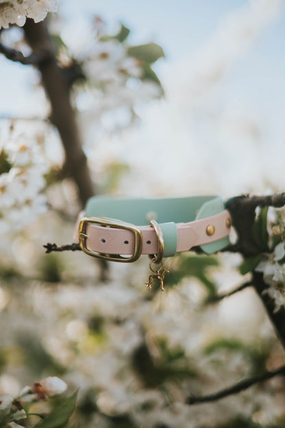 Seville Collar