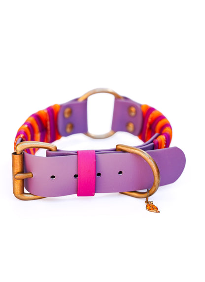 38mm width Sydney collar (40-50cm)