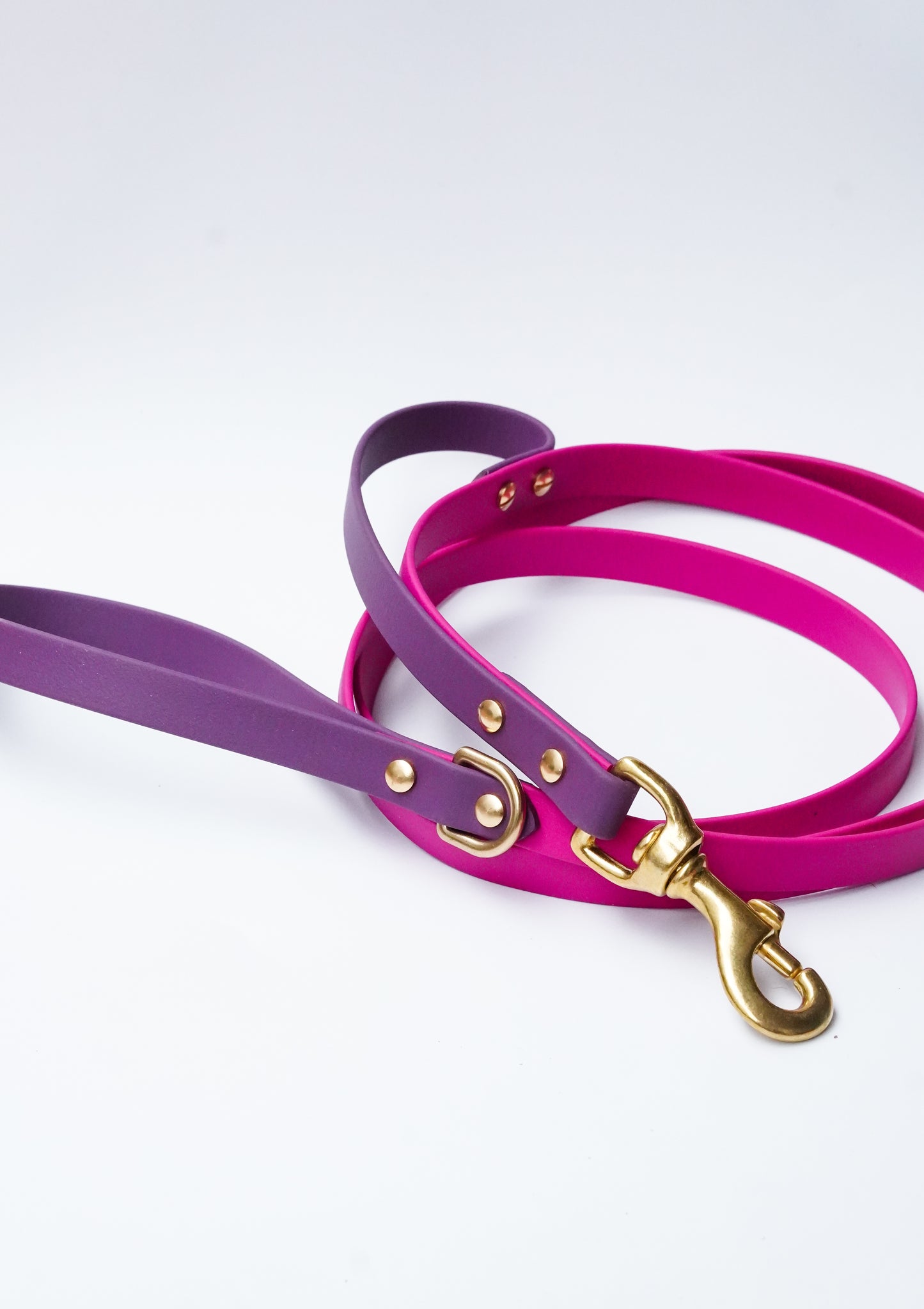 Biothane Leash 180cm - MAGENTA/GRAPE