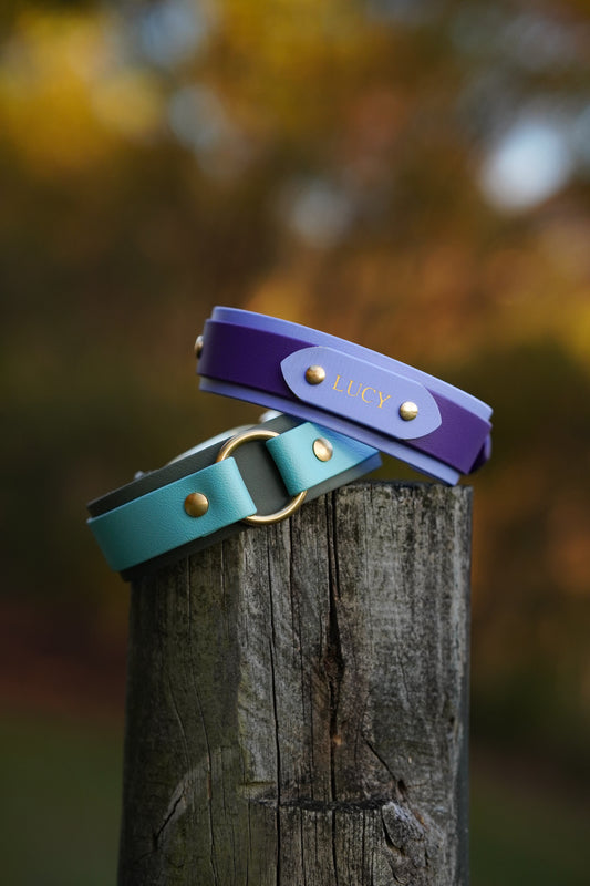 Paris Collar