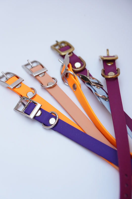 Puppy collar bundle
