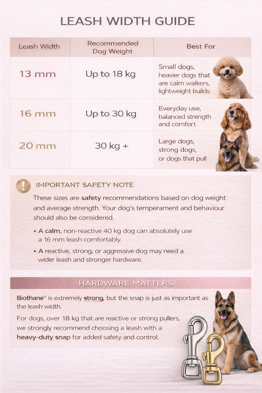 Custom Biothane® Leash