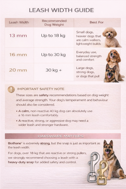 Custom Biothane® Leash