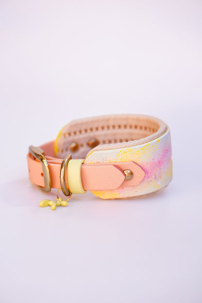 Size 20-25cm SIGHTHOUNDS collar